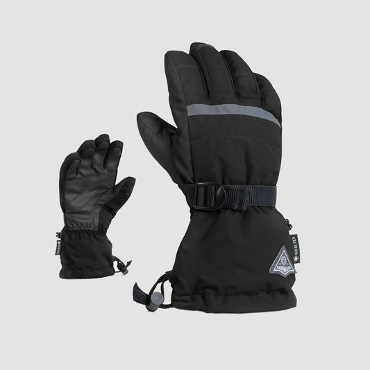 ALPINE GORE-TEX GLOVE MENS