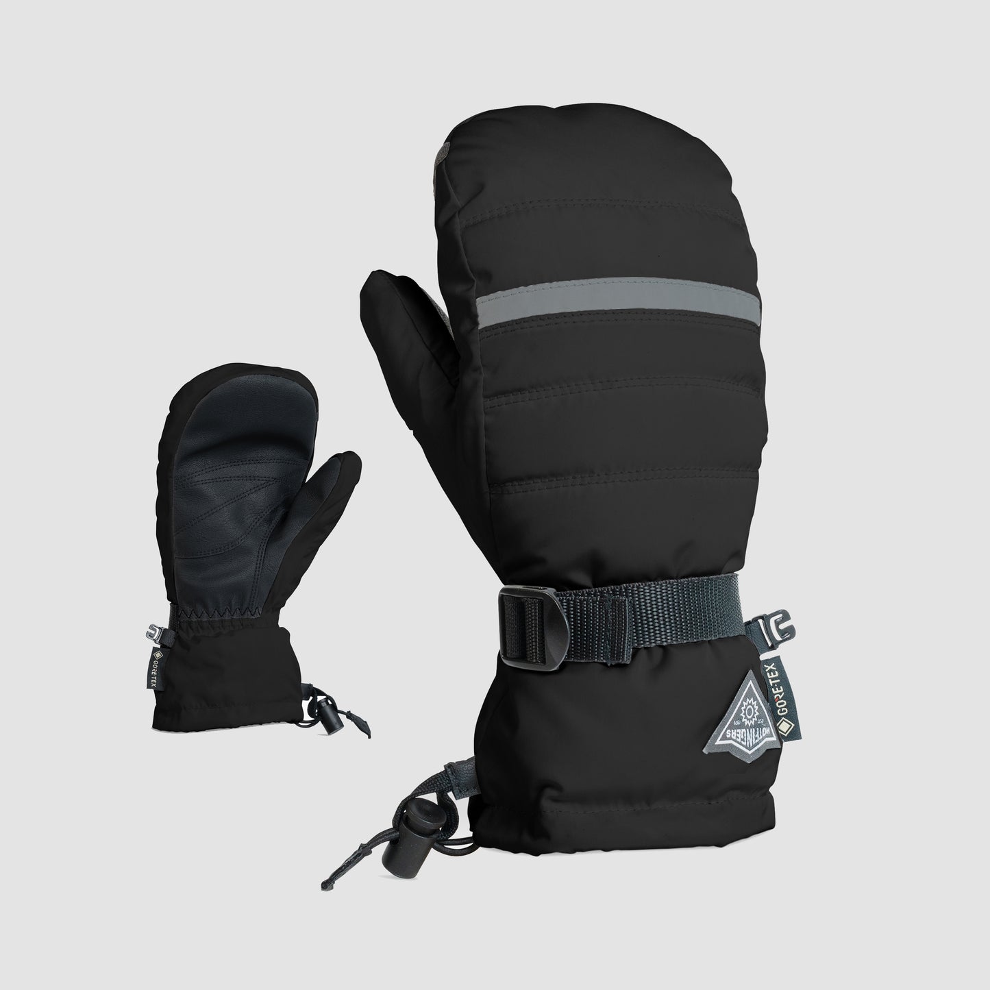ALPINE GORE-TEX MITT MENS